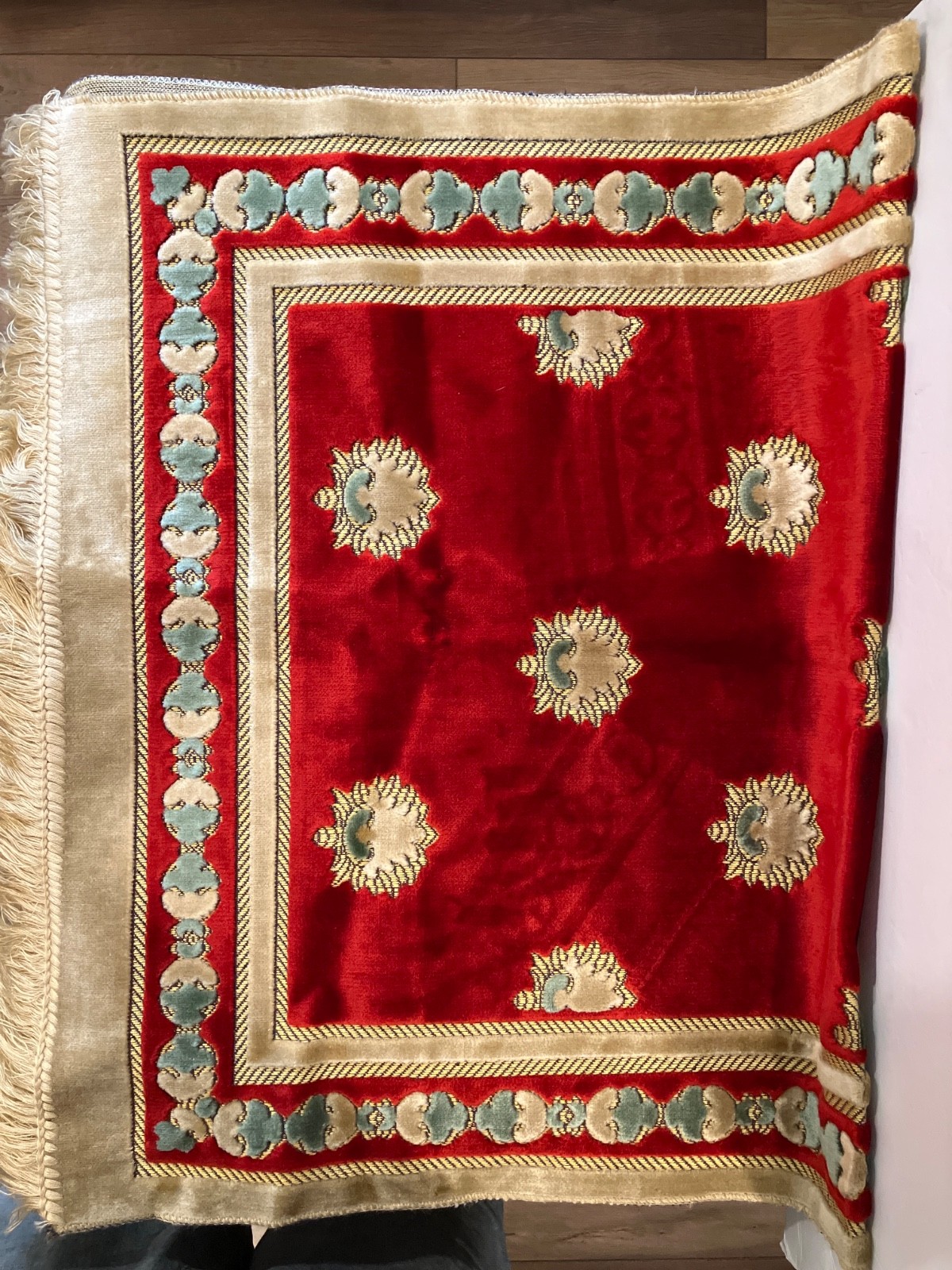 Kadifeteks 27” x 48” Rug Made In Turkey