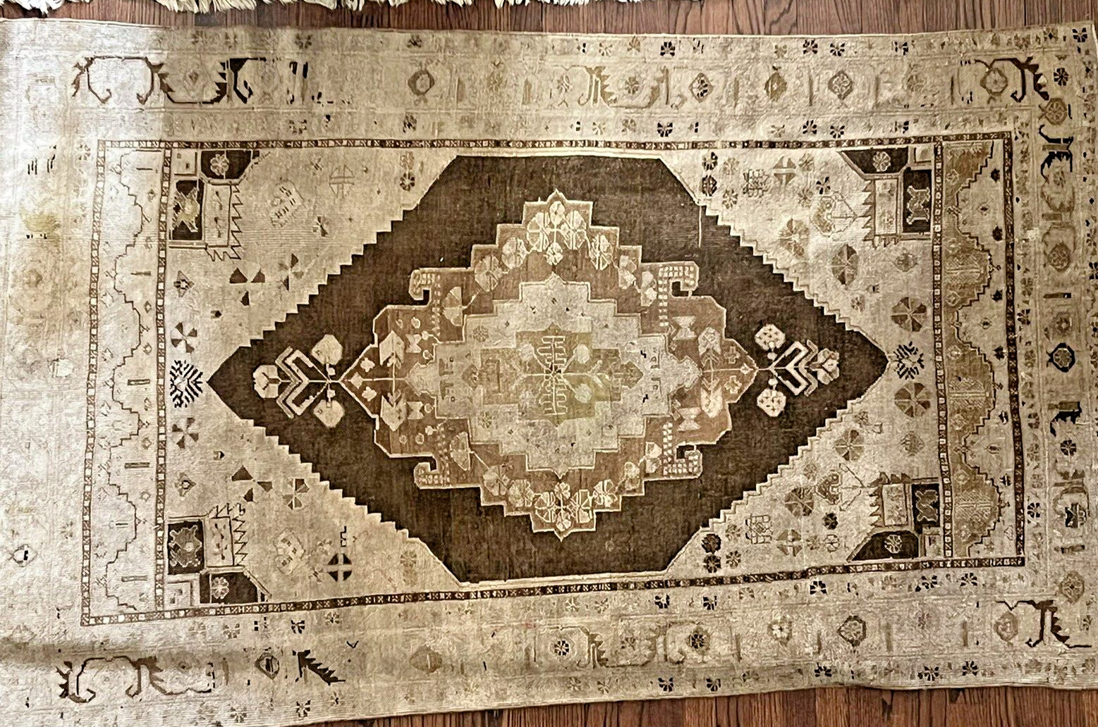 Olive Gray Landry Arcari Turkish Hand Knotted Wool Area Rug 50″ x 80″ $1450