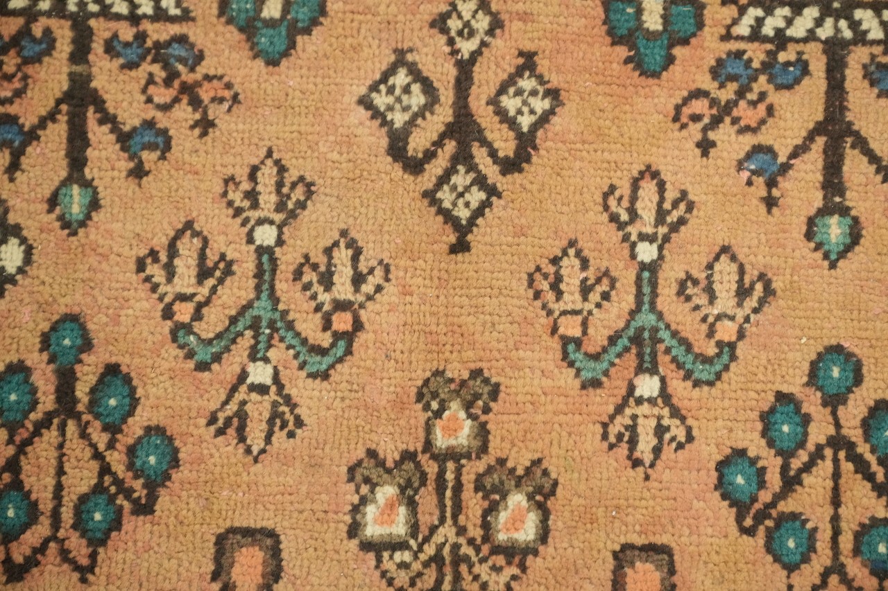 4×7 Coral & Blue Medallion Tribal Hand-Knotted Wool Traditional Area Rug
