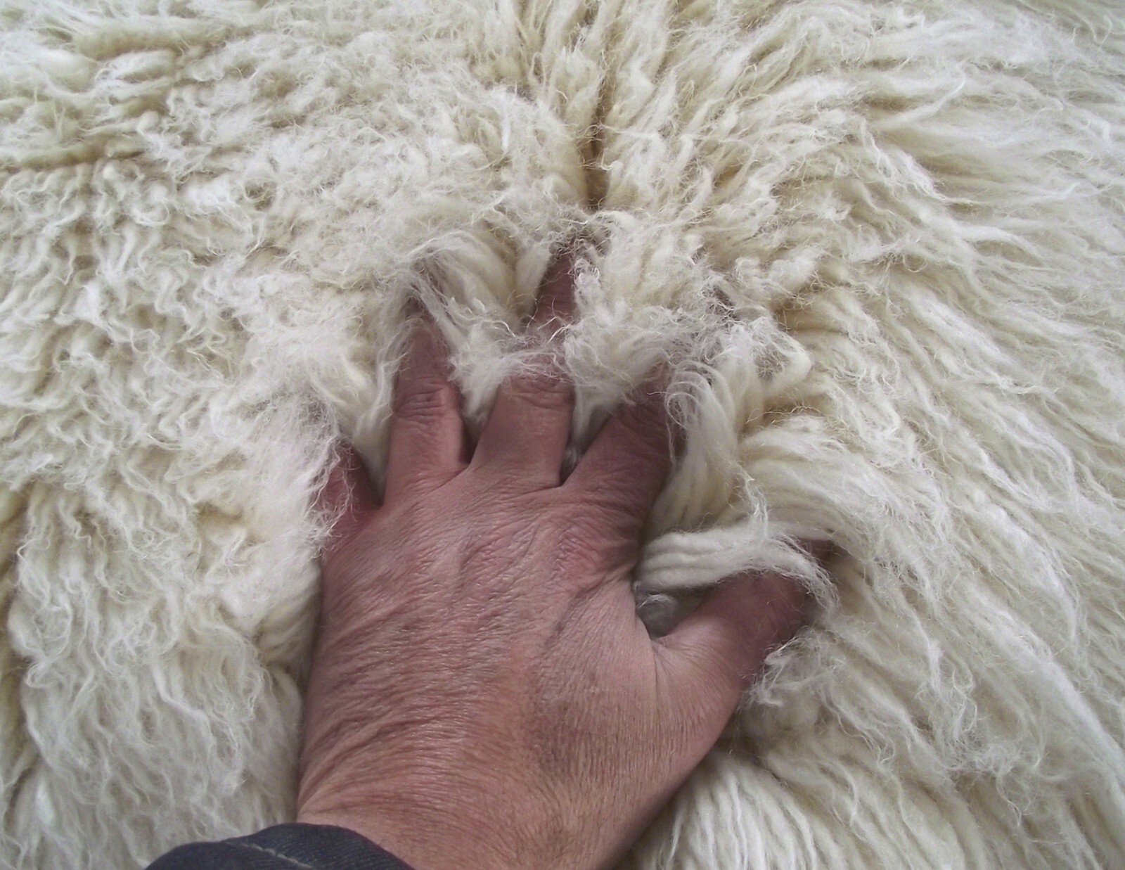 GREEK FLOKATI RUGS | SUPER THICK 3.5″ SHAG PILE | OFF WHITE SHAGGY WOOL AREA RUG