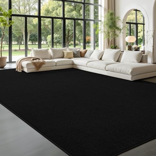 Large Area Rugs for Living Room Bedroom, 5 x 8 Ft Non-Slip 5 x 8 Feet Black
