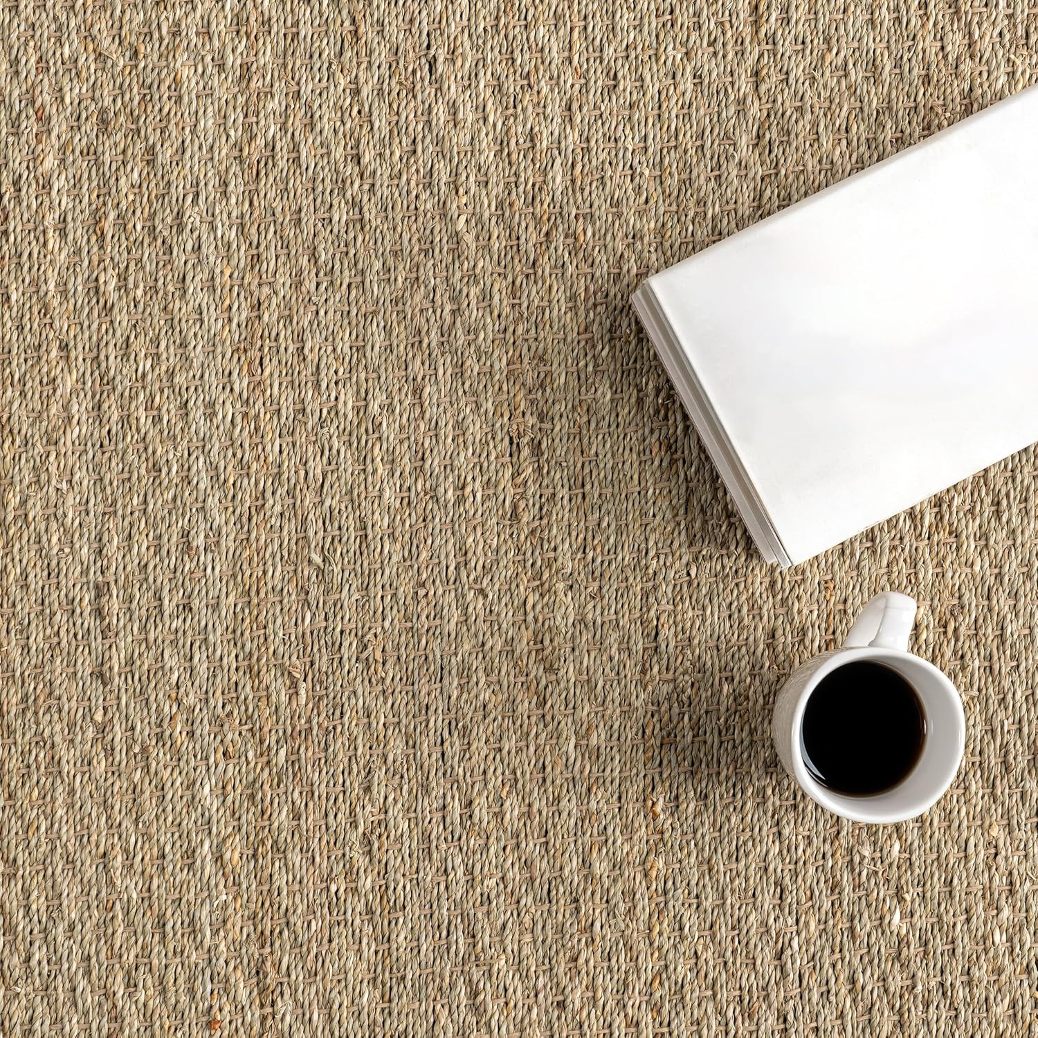 Beige 2X6 Elijah Seagrass Area Rug – Farmhouse Style Natural Fiber Rug