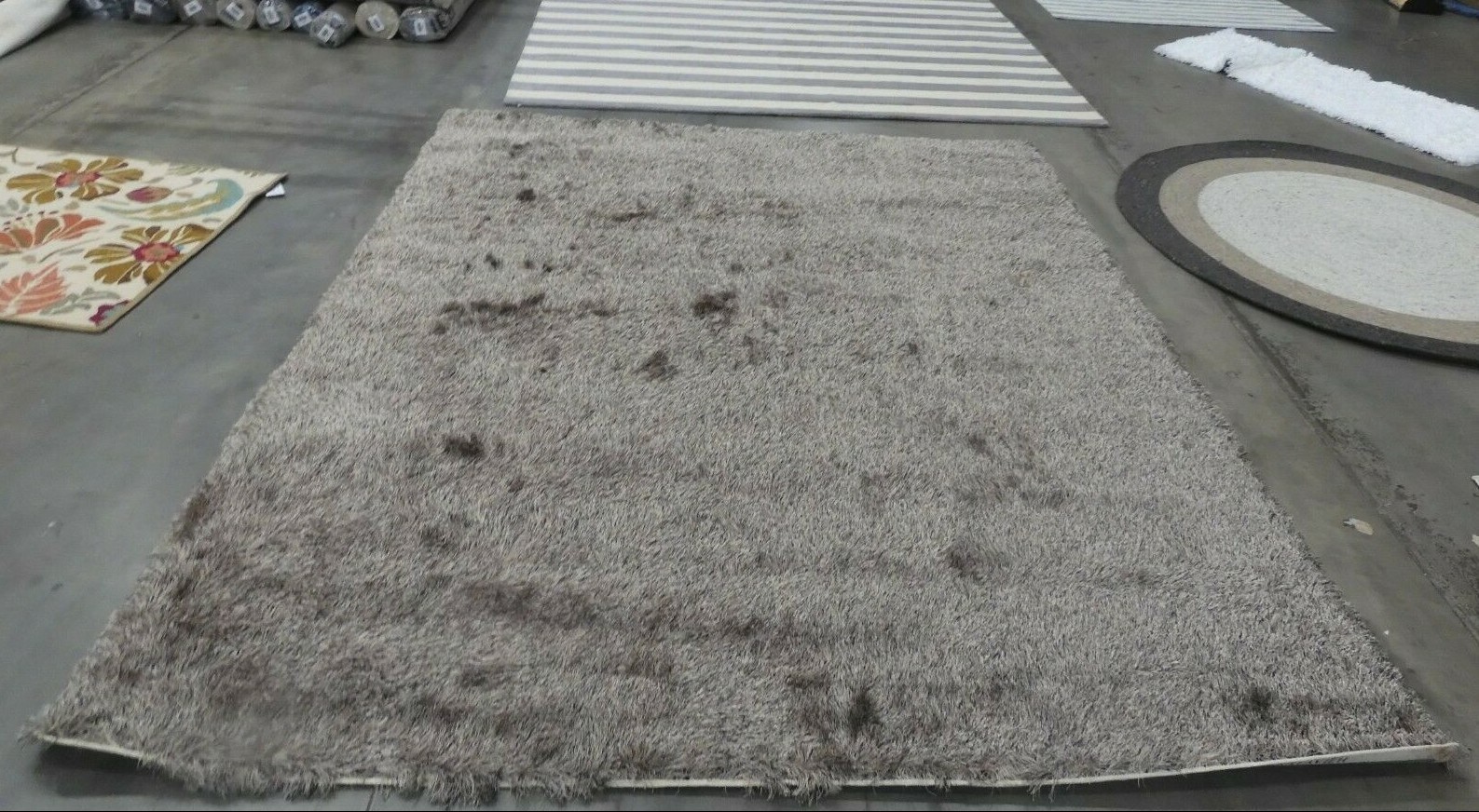 SABLE 8′ X 10′ Binding Stain Rug, Reduced Price 1172612112 SG511-9292-8