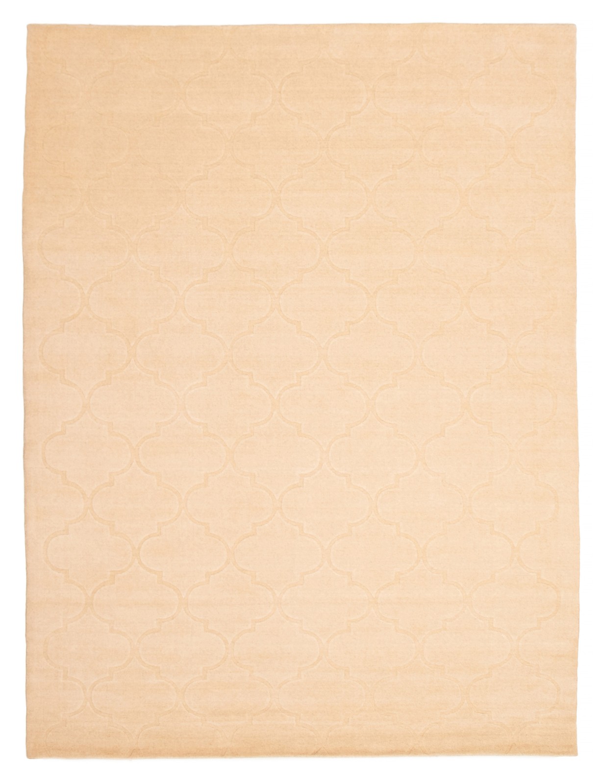 Hand loomed Area Rug 8’1″ x 11’1″ Traditional Wool Oriental Carpet