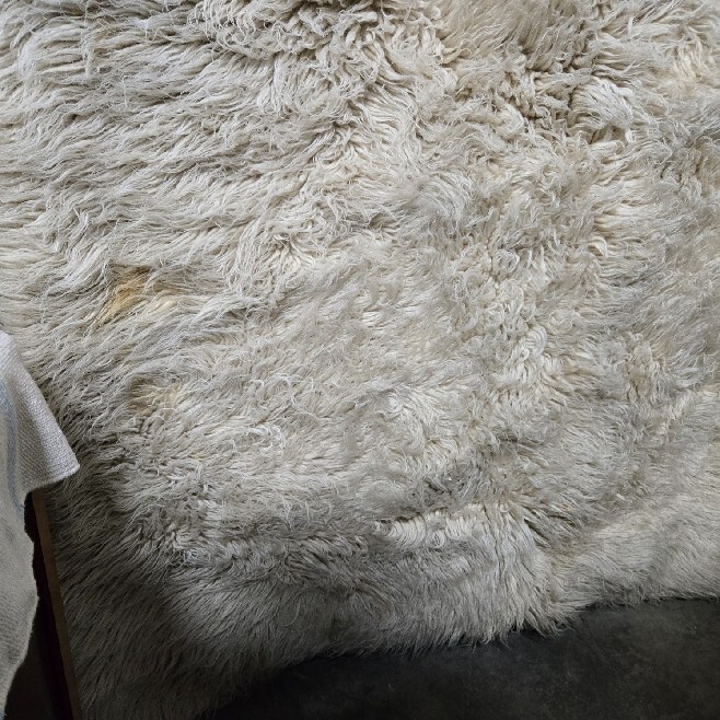 FLOCATI SHEPHERD’S RUG Made in Greece 100% Wool Handmade Long Pile Shag 55″x70″