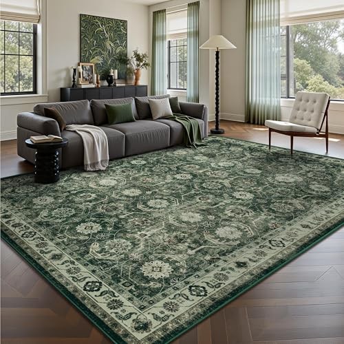 Living Room Rug 6×9, Soft Non Slip Low Pile Washable Rug, Boho Modern Area Rug