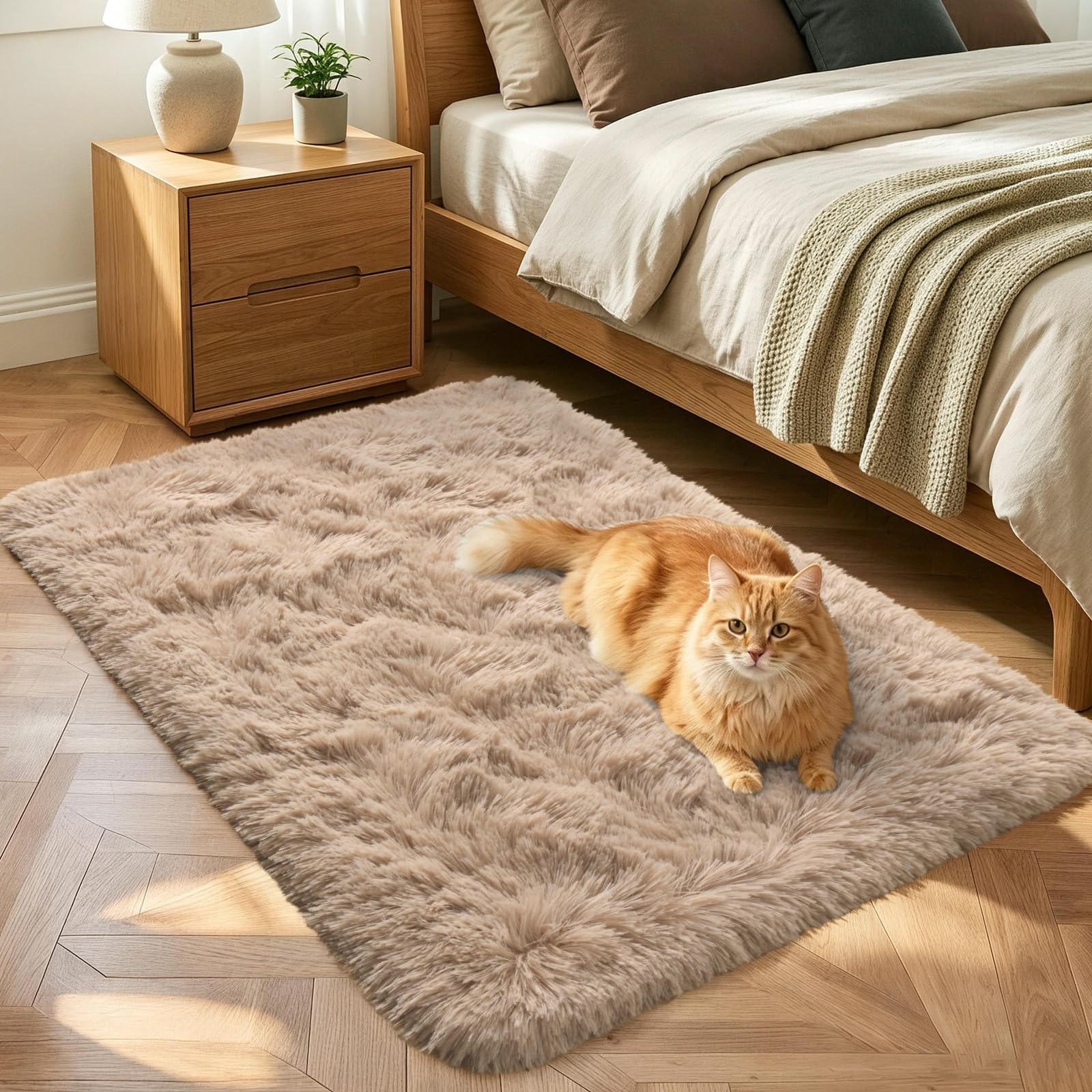 2×3 Beige Area Rug for Entryway Kitchen Bathroom, Fluffy Shag Soft Plush Furr…