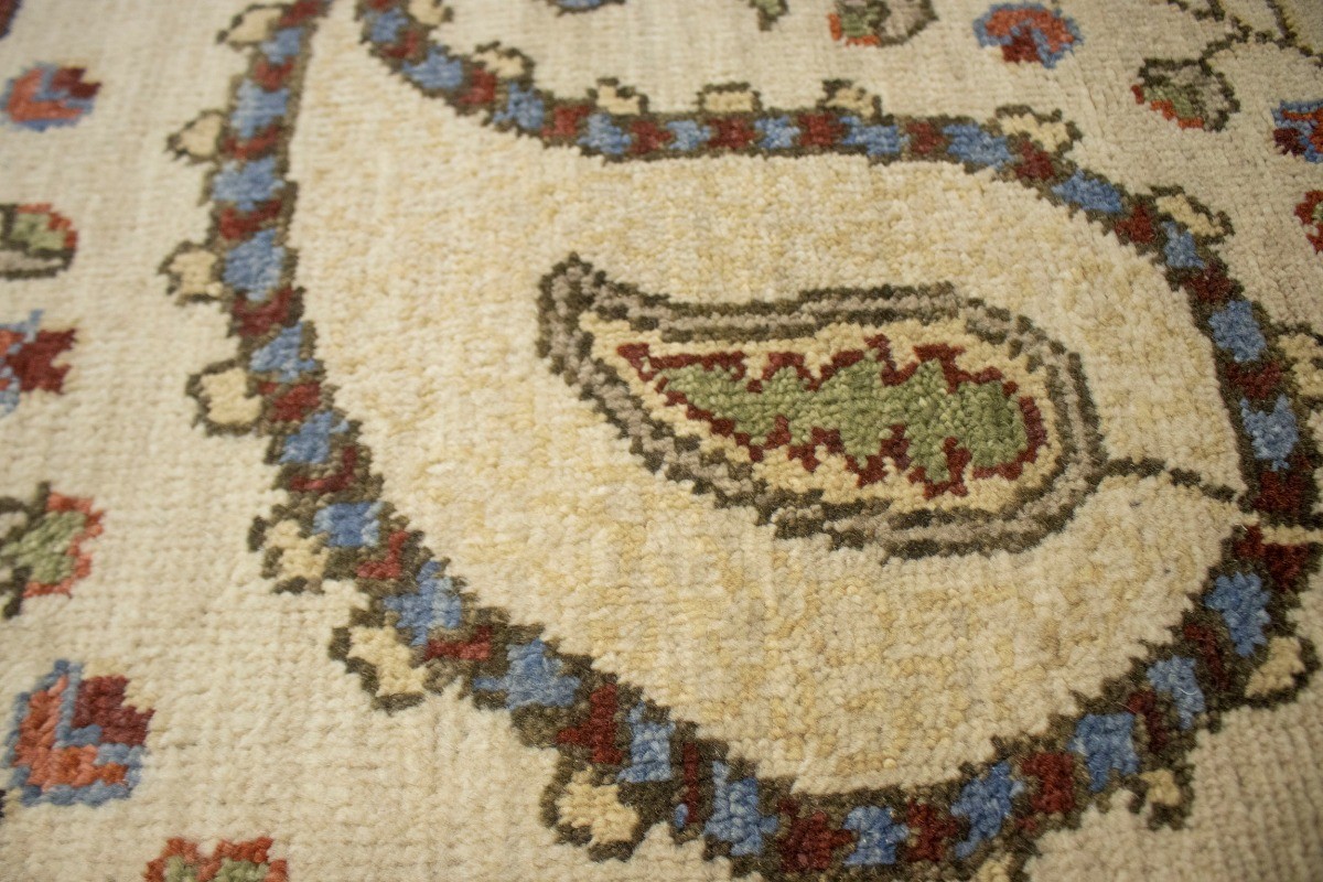 Handmade Floral Paisley Design Oriental Rug Transitional Decor Carpet 8X10 ft