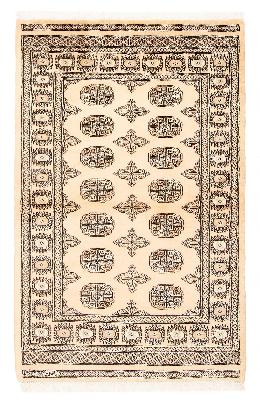 Traditional Hand-knotted Carpet 3’1″ x 4’10” Wool Oriental Area Rug