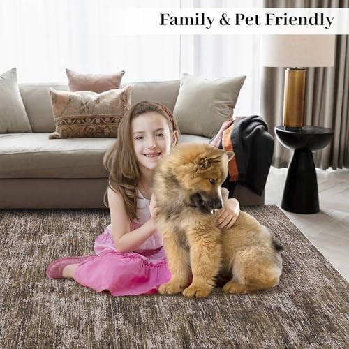 Area Rug 5×7 Machine Washable Area Rug for Living Room Non-Slip Stain