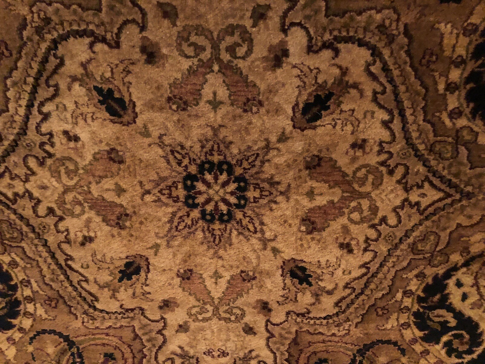 8×10 hand woven carpet. see pictures