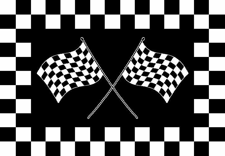 4×6 Rug Racing Flag Car Race Team Championship Nascar F1 Checker (3’10” x 5’1″)