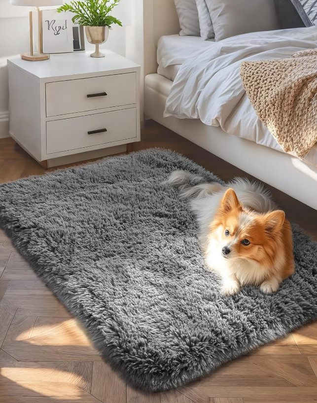 2×3 Grey Fluffy Rug Non Slip Soft Area Rug Bedroom Bedside Entryway Mat Small
