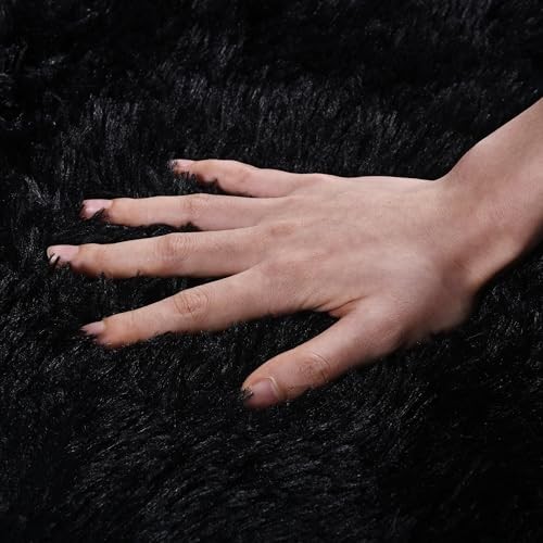 Black Rug for Bedroom, Soft Shaggy Modern Shag 4×6 Area Rugs for Living Room,