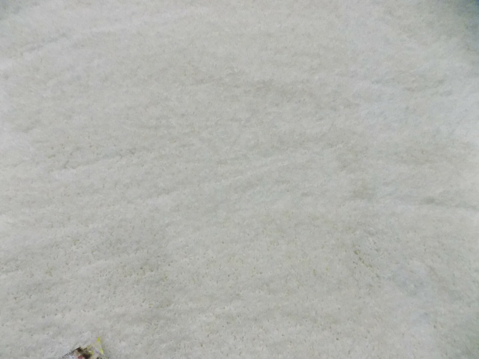WHITE 5′-3″ X 7′-6″ Stained Rug, Reduced Price 1172586723 SG151-1010-5