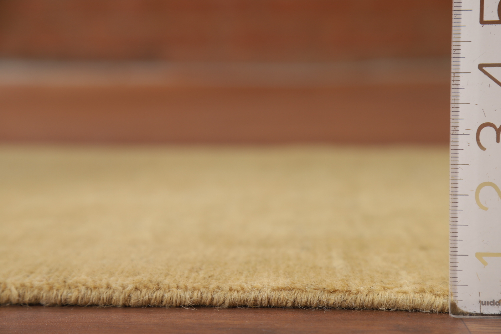 Luxurious Gabbeh Solid Design Wool Modern Accent Rug – Brand New 3×4 ft
