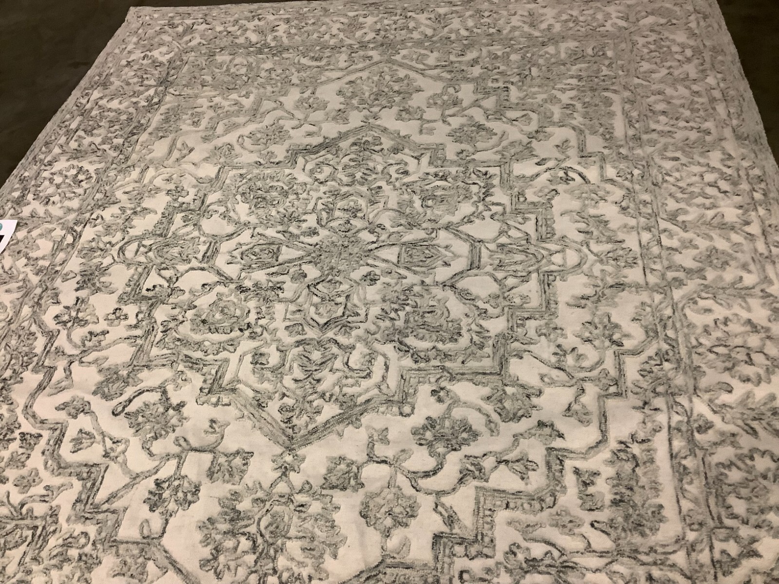 IVORY / CHARCOAL 8′ X 10′ Back Stain Rug, Reduced Price 1172669681 TRC302H-8