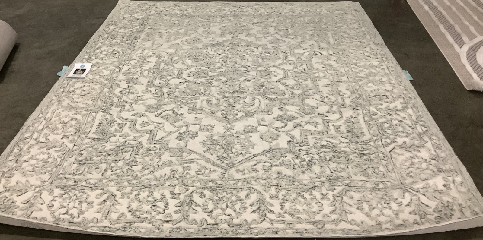 IVORY / CHARCOAL 8′ X 10′ Back Stain Rug, Reduced Price 1172669681 TRC302H-8