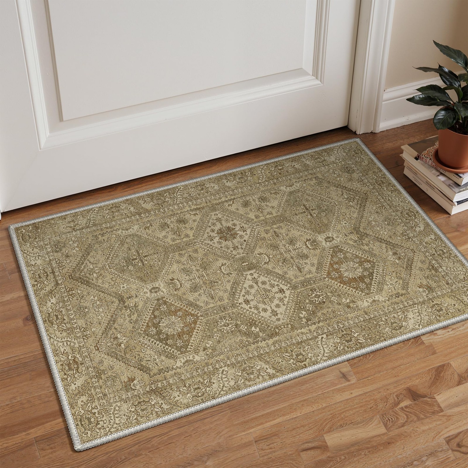 Area Rug 2×3 Doormat, Machine Washable Low Pile Rugs, Small Entryway Mat for …