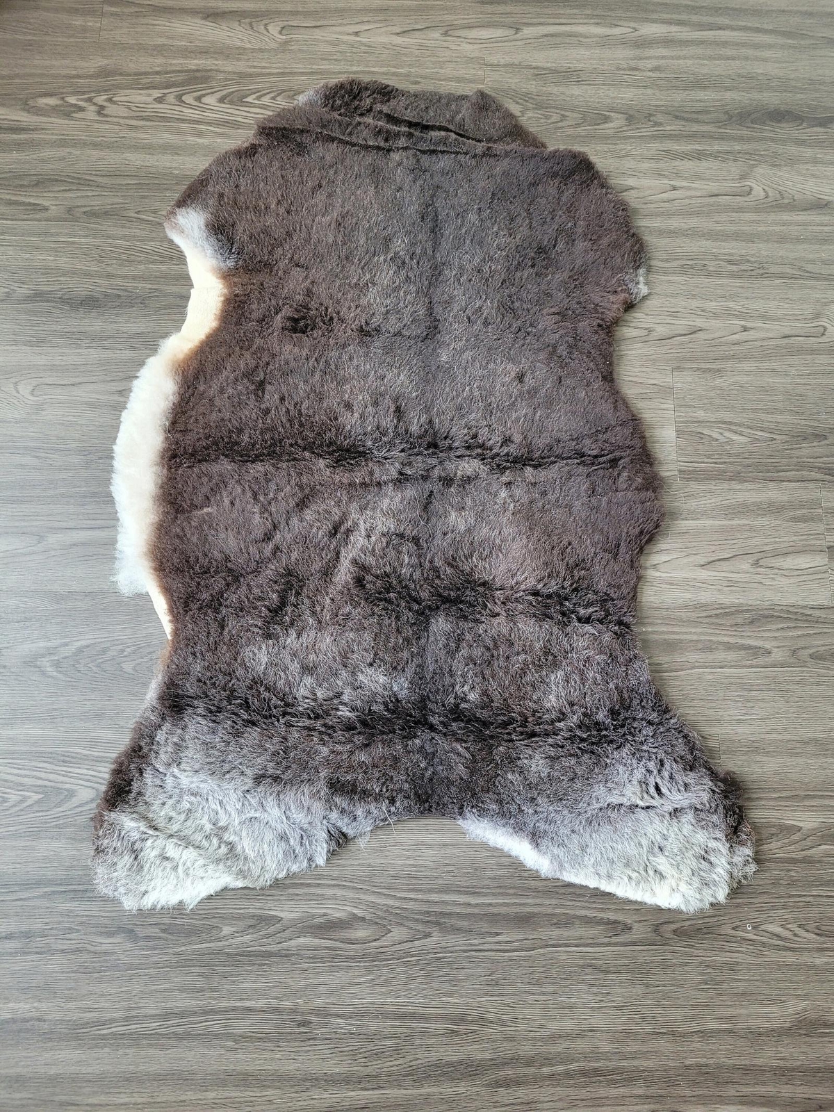 Sheepskin rug, soft Dense wool rare color 100% natural #B671