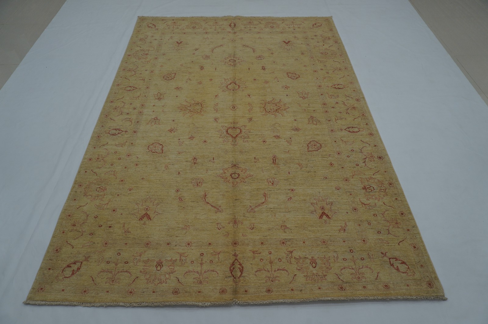 6×8 ft Ivory Beige Afghan Hand Knotted Wool Oriental Area Rug