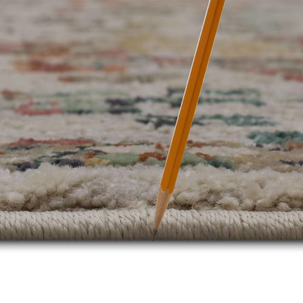 Medallion Multi 7 Ft. 10 In. X 10 Ft. Indoor Area Rug