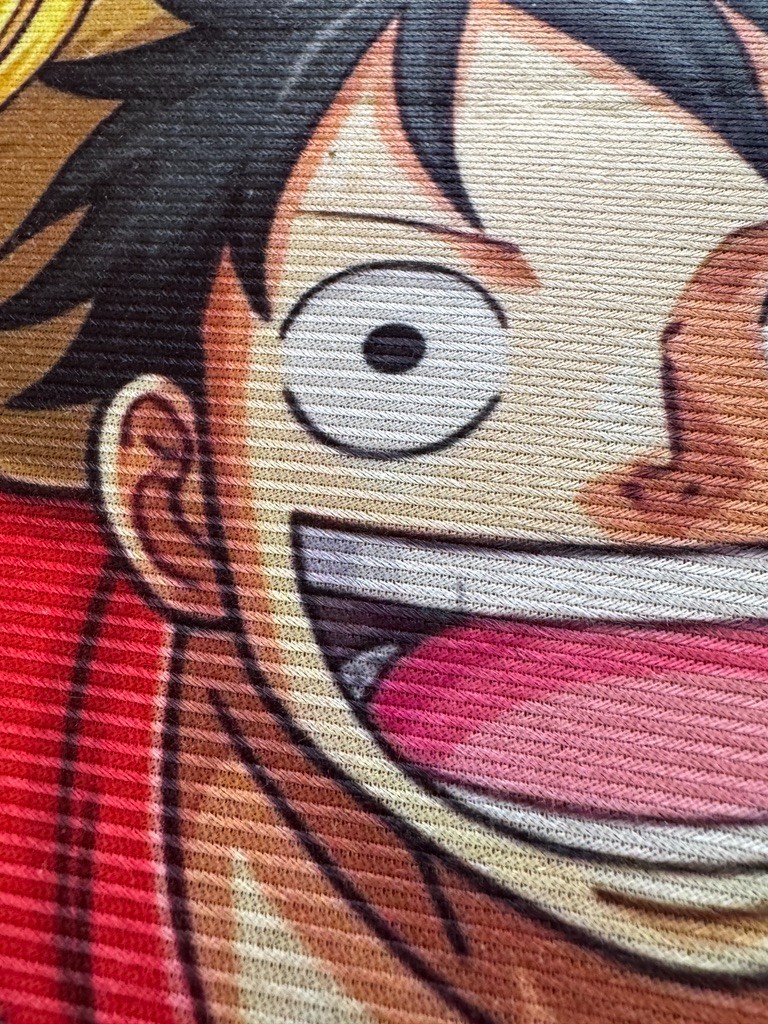 One Piece Strawhat Crew Anime Non Slip Carpet Doormat Rug 18 x 31