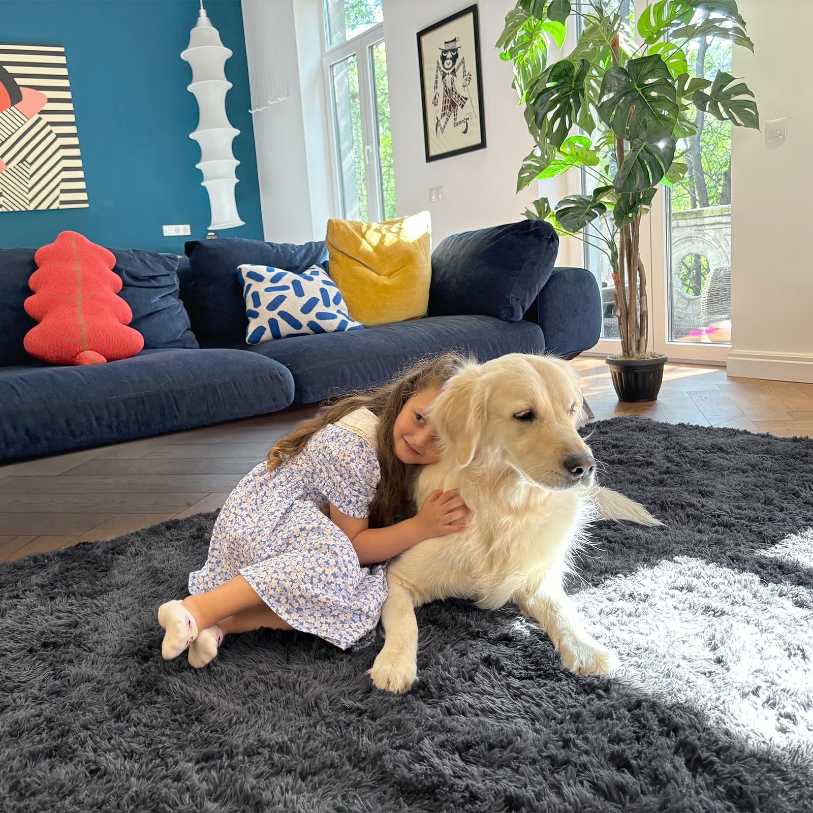 Area Rug for Living Room and Bedroom Soft Fluffy Washable Grey 4×6 ft