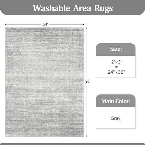 Valenrug Door Mat 2×3 – Stain Resistant 2×3 Entryway Area Rugs for Living