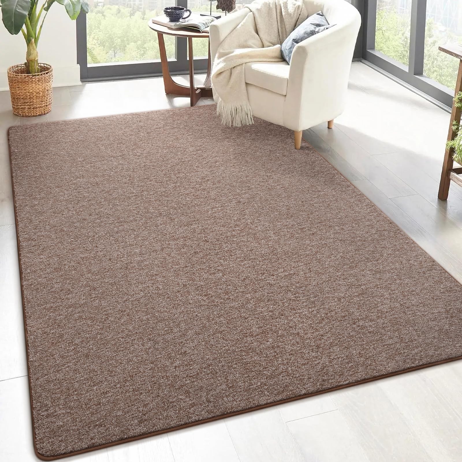 4×6 Area Rugs for Living Room, Soft Modern Memory Foam Bedroom Rug Washable I…