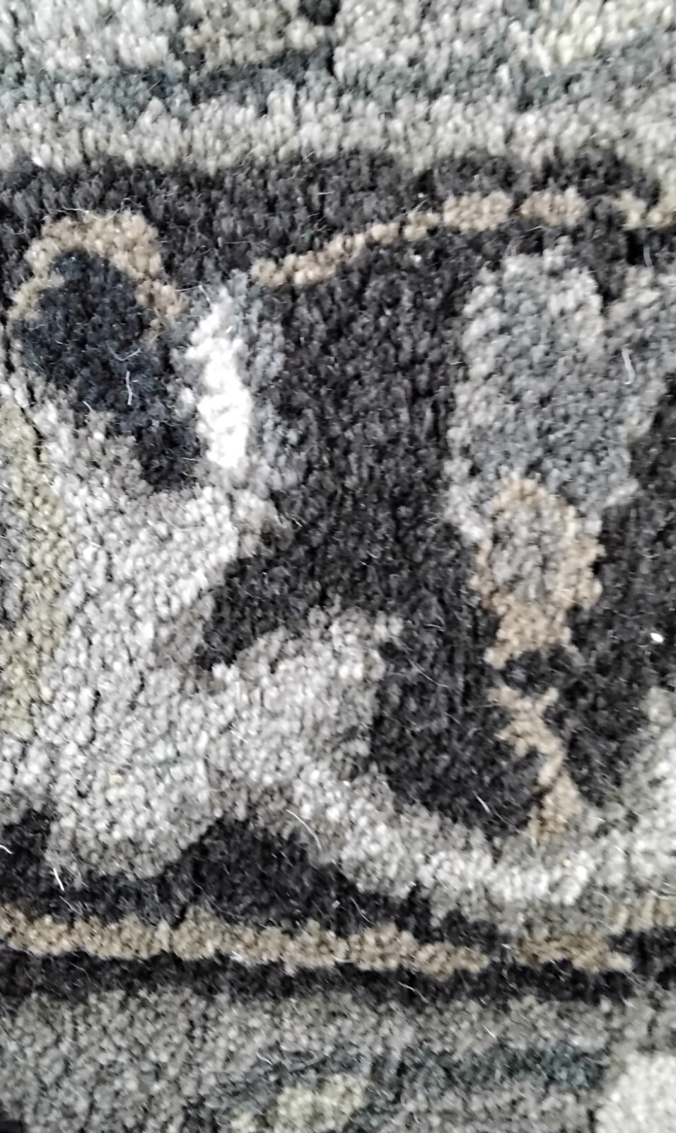 SILVER / CHARCOAL 4′ X 6′ Back Stain Rug, Reduced Price 1172718521 ROY700G-4
