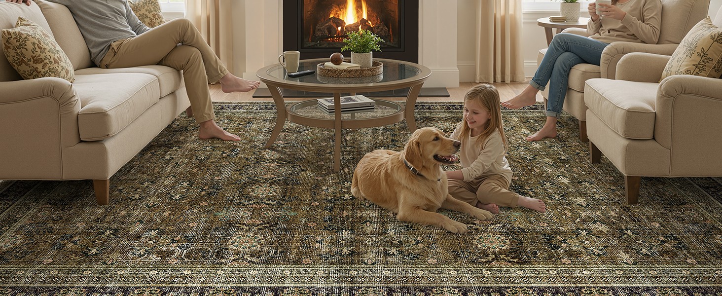 9×12 Living Room Rug: Vintage Boho Modern Moody Retro Antique Dark Carpet,