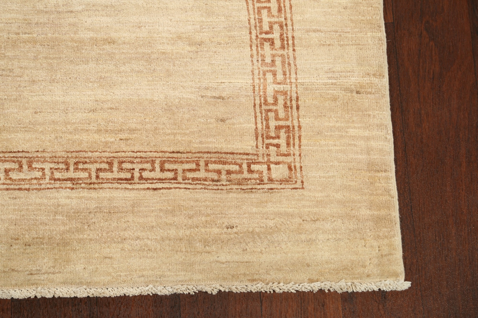 Modern Beige Bordered Gabbeh Oriental Area Rug Hand-Knotted Wool 4×6 Carpet