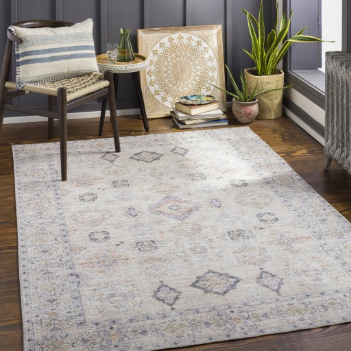 Area Rug Traditional Style Washable Turkish Rug -Beige- NEW -ALY-2302