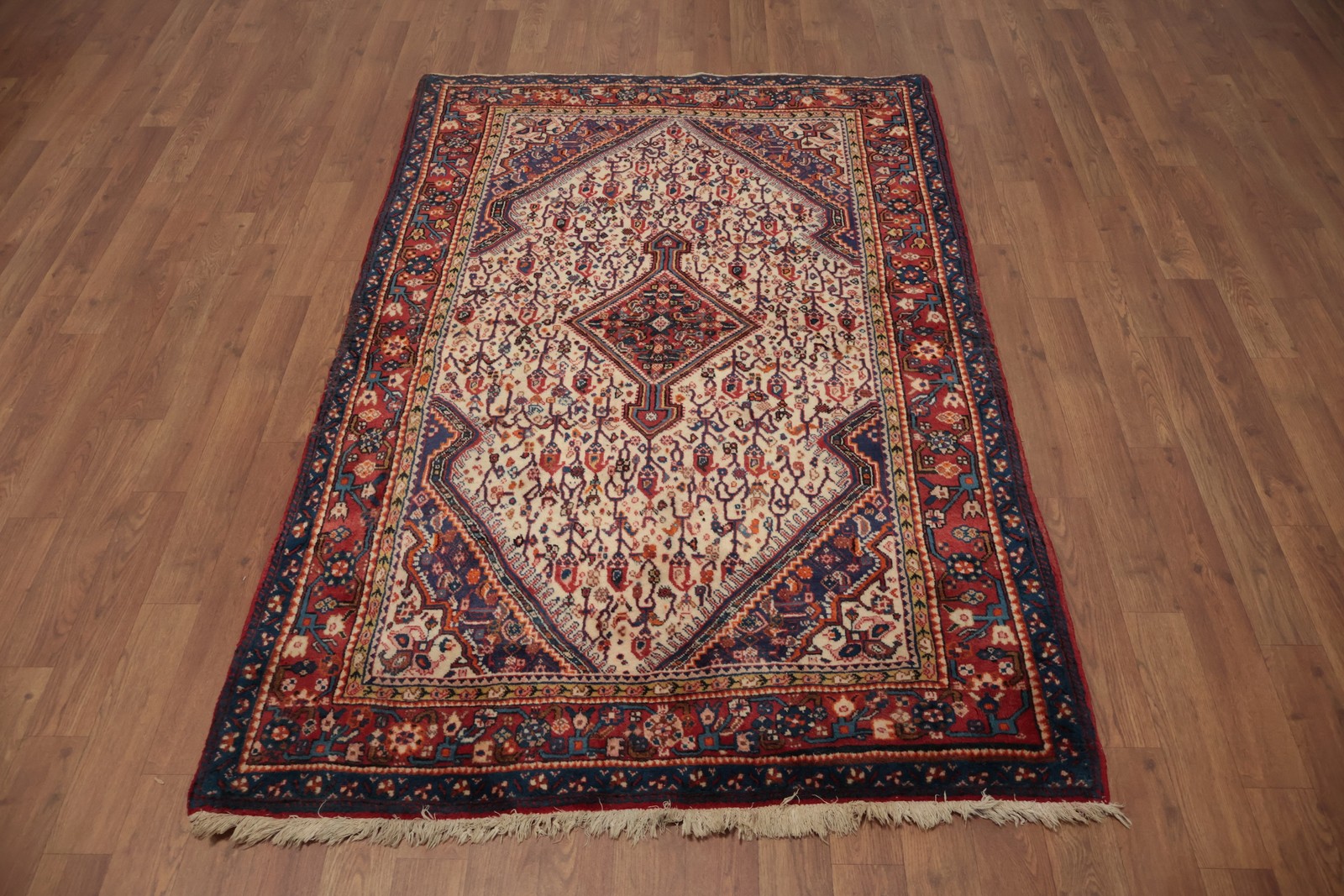 Elegant Vintage Ivory Area Carpet Rug Ornate Pattern Design Handmade Carpet 4×6
