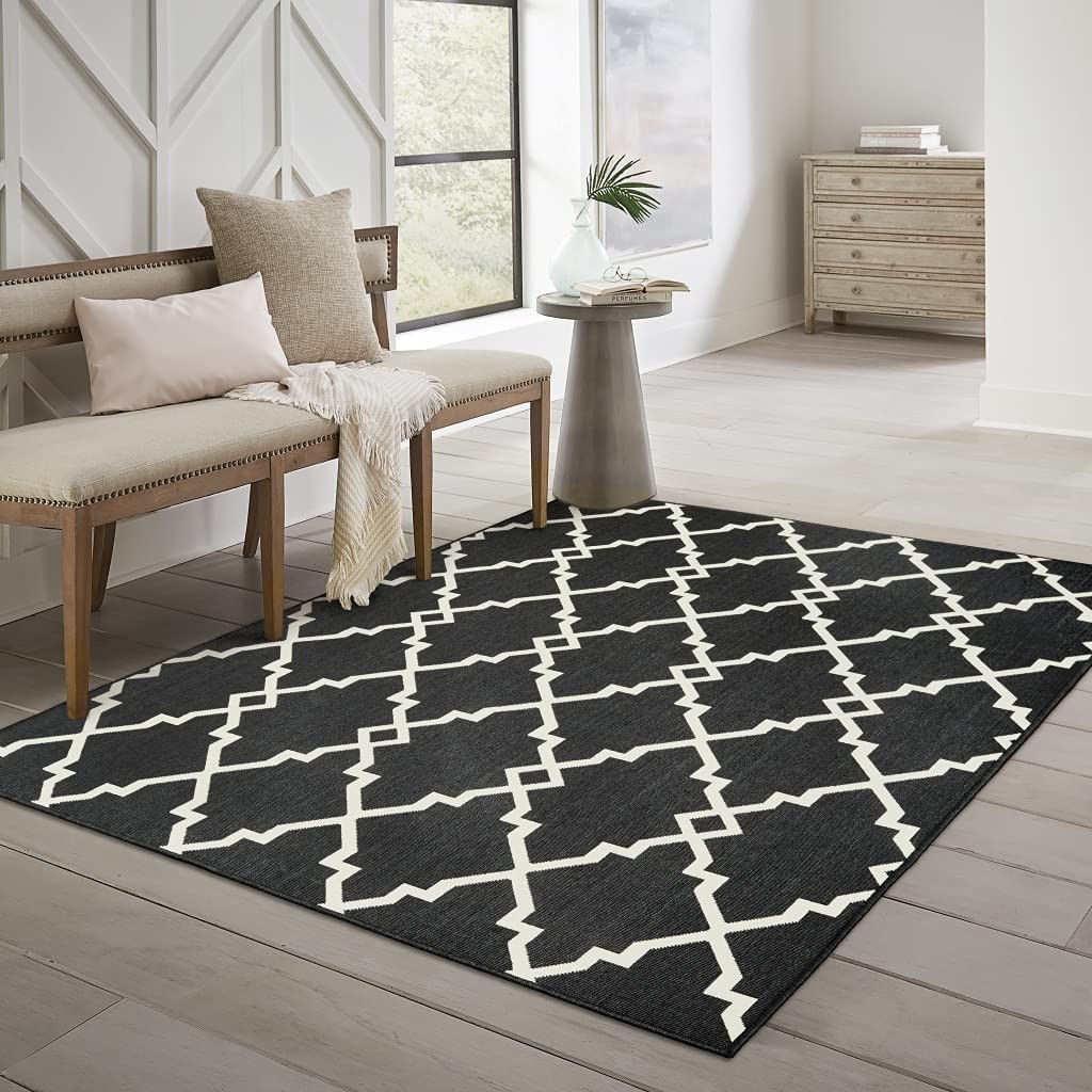 2′ X 4′ Black and Ivory Indoor Outdoor Area Rug