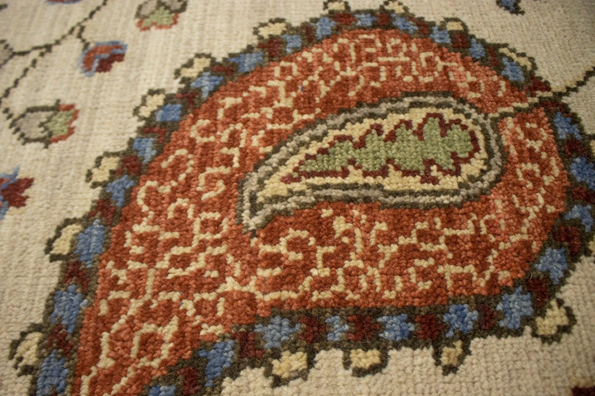 Handmade Floral Paisley Design Oriental Rug Transitional Decor Carpet 8X10 ft