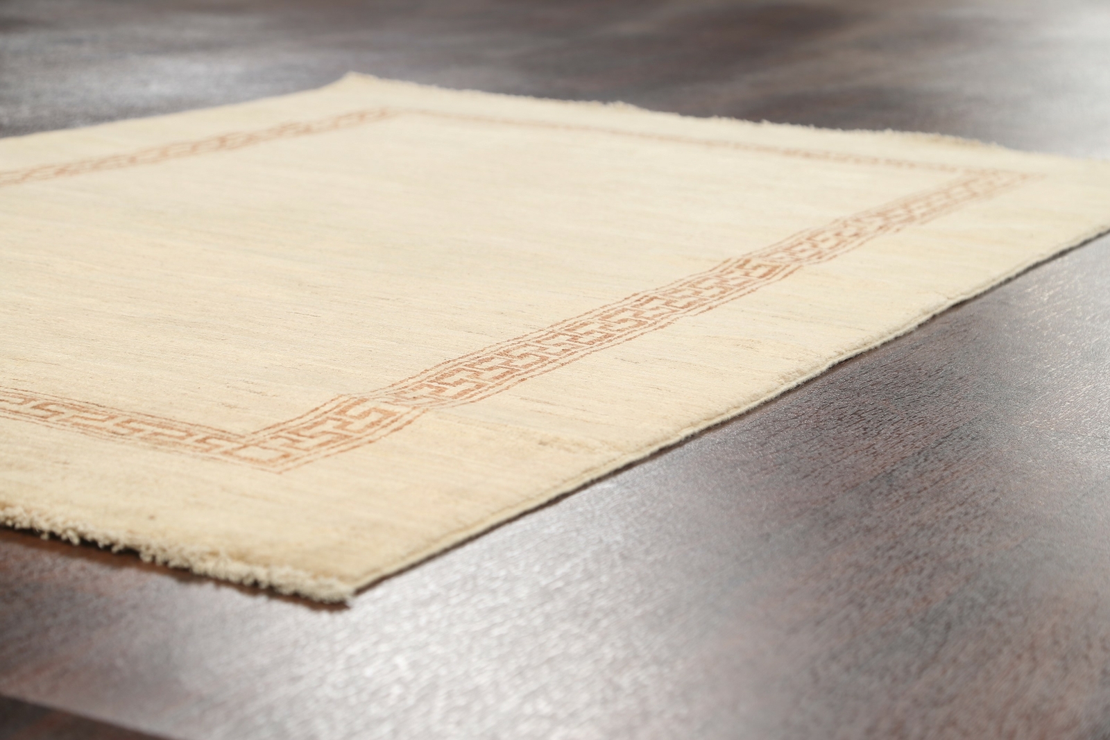 Modern Beige Bordered Gabbeh Oriental Area Rug Hand-Knotted Wool 4×6 Carpet