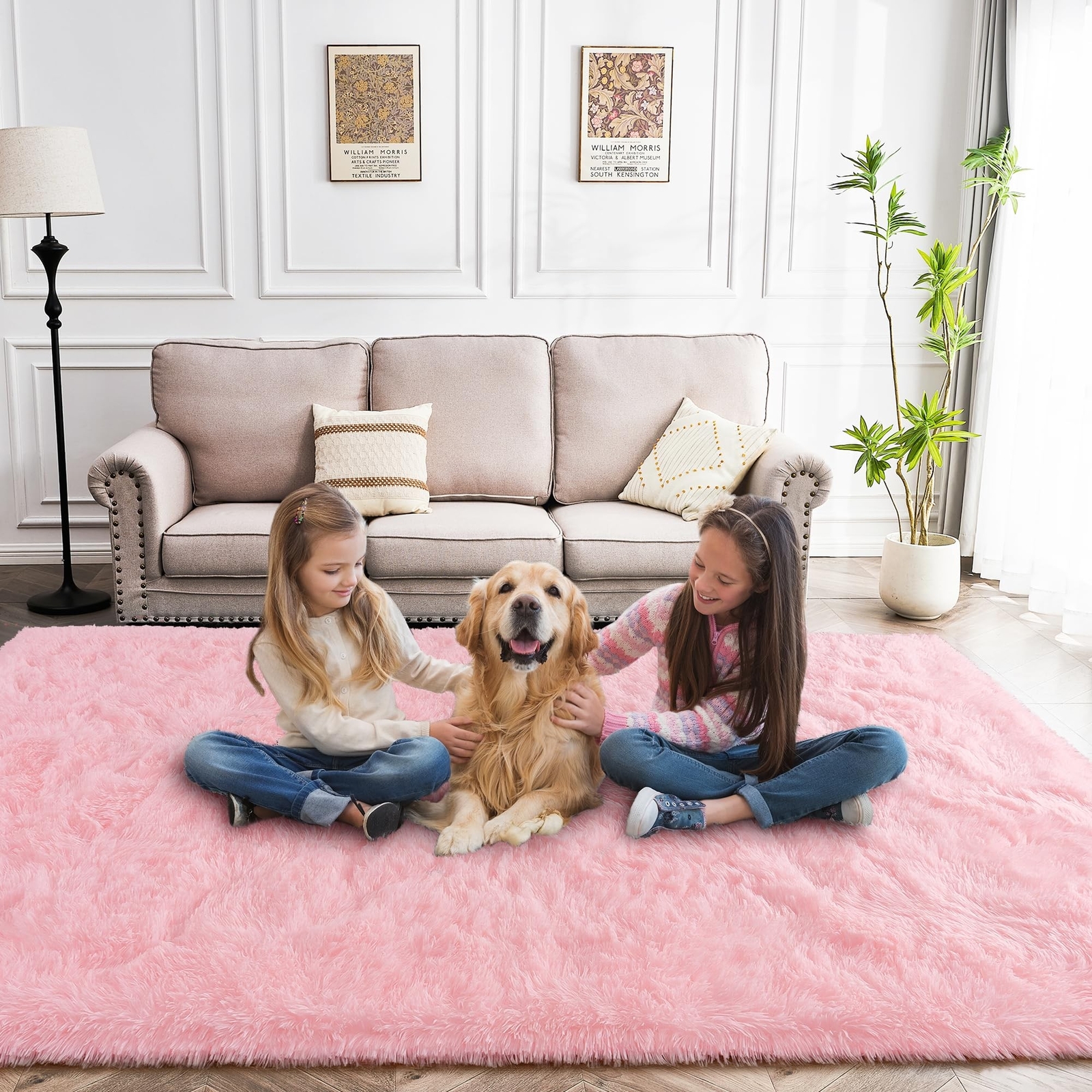 Pink Rug 8×10 – Non Slip Fluffy Rug for Living Room – Cute Floor Rug for Girl…