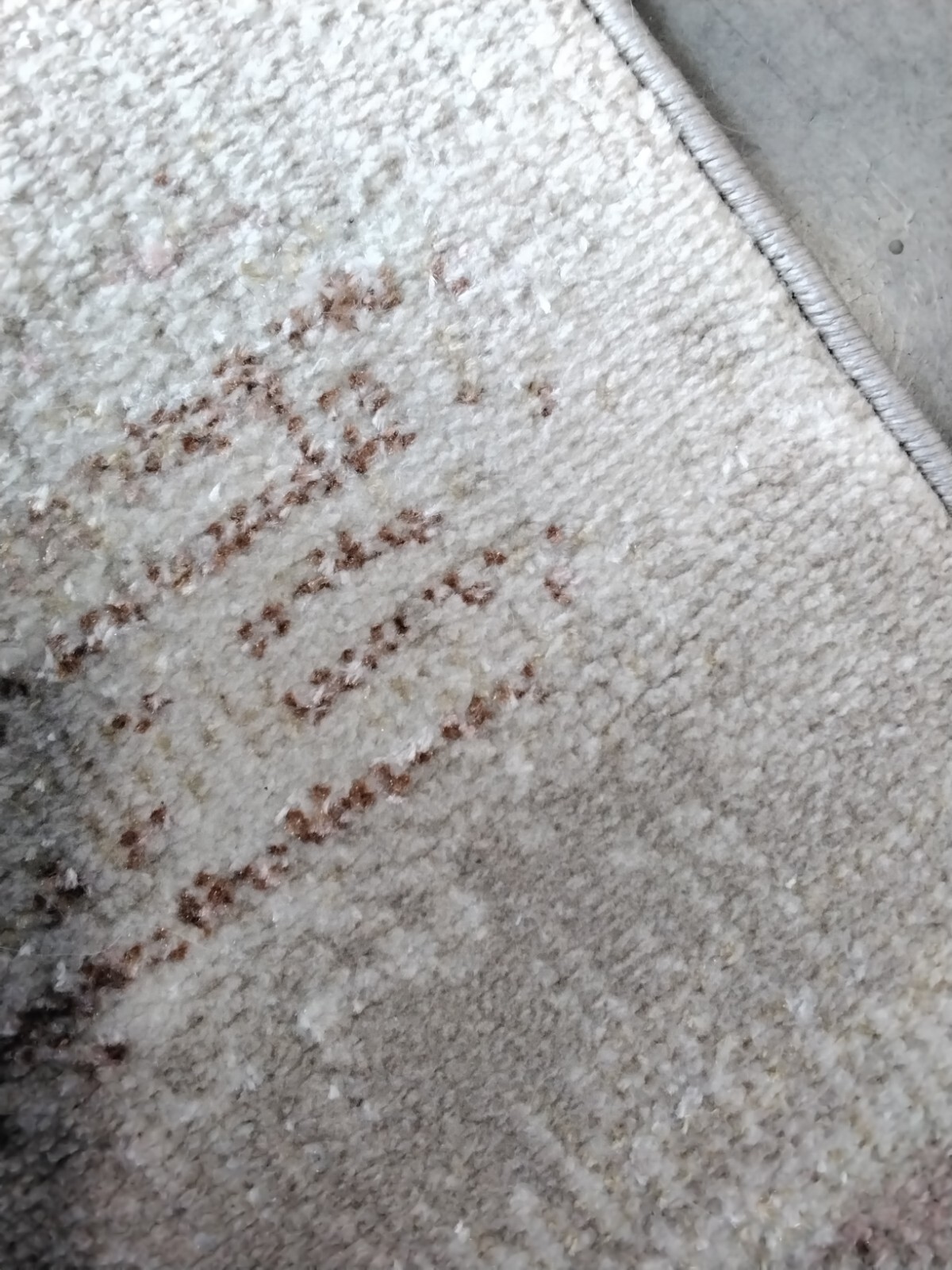 BEIGE / BLUE RUST 2′-2″ X 8′ Flaw in Rug, Reduced Price 1172742285 BLR216B-28