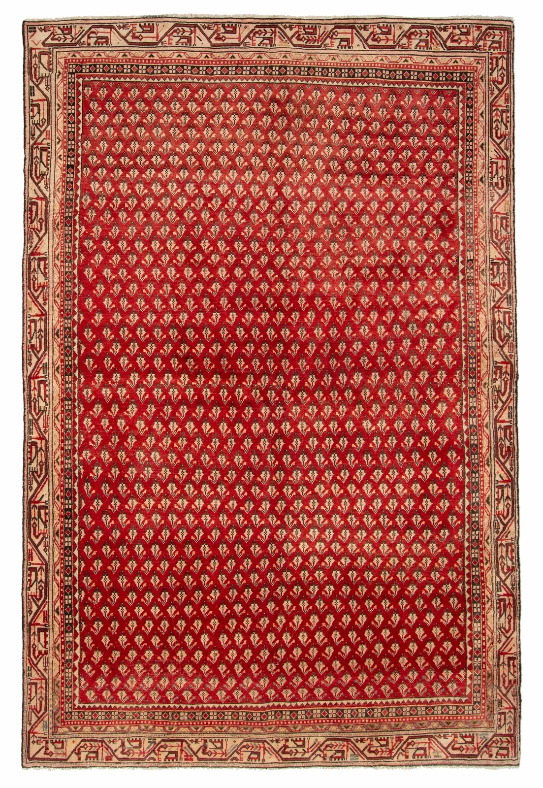 Vintage 6’2″ x 9’2″ Traditional Hand Knotted Vegetable Dye Wool Area Rug