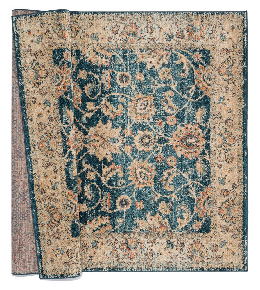 Blue Bordered Scrolls Vines Traditional-European Area Rug Floral 3801 30262