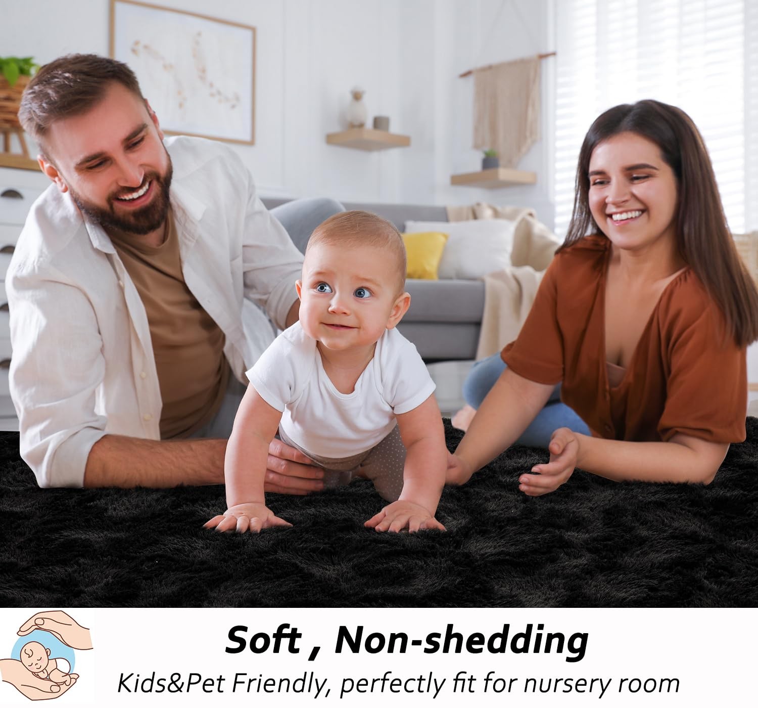 Fluffy Area Rugs 3 x 5 Feet, Modern Minimalist Style Shag Rugs, Non-Slip Indo…