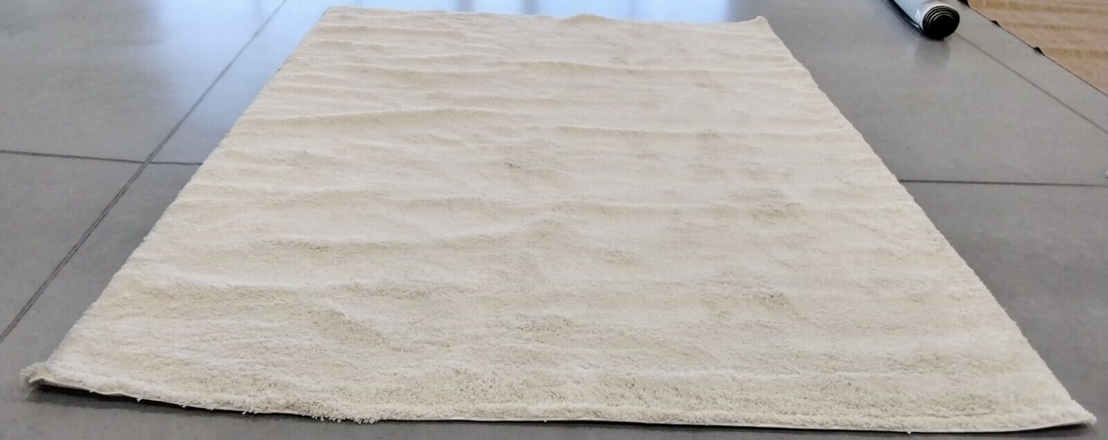 IVORY 8′-6″ X 12′ Back Stain Rug, Reduced Price 1172726151 SG180-1212-9