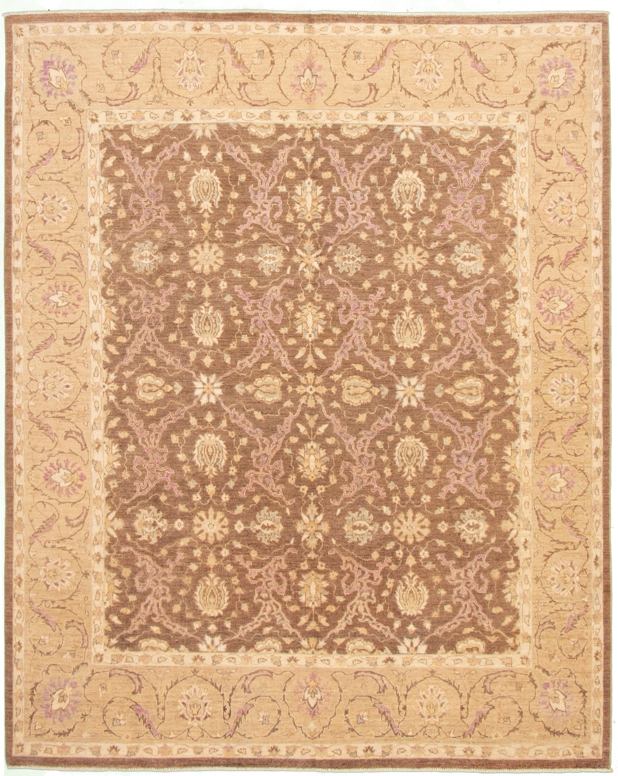 Traditional Brown Hand-knotted Area Rug 8’2″ x 10’0″ Oriental Wool Carpet