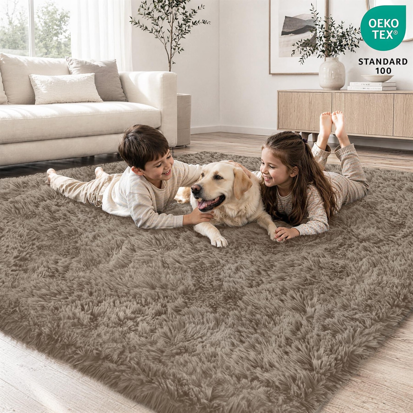 Tosuoka 5×7 Area Rugs for Living Room, Ultra Soft Fluffy Rug Shag Thick Taupe