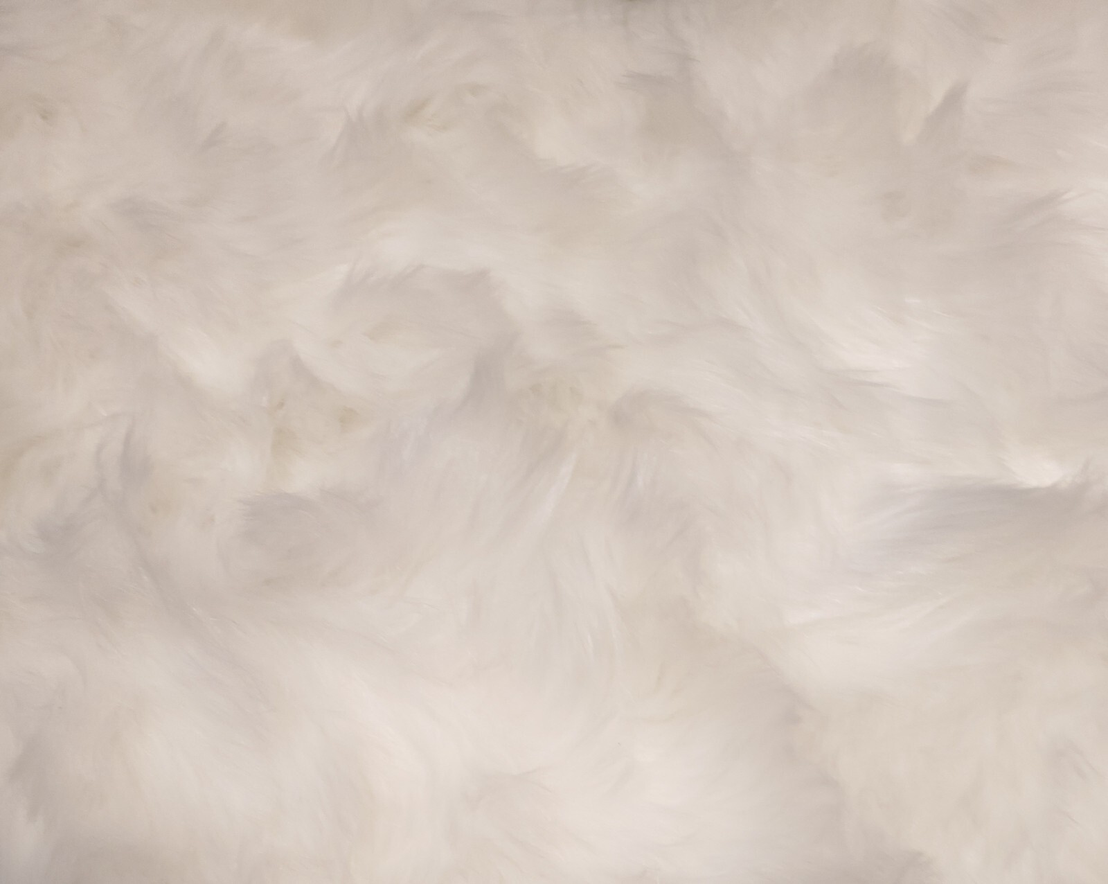 White Heart Shaped 19.6″ x 23.6″ Faux Fur Rug Home Decor NEW!