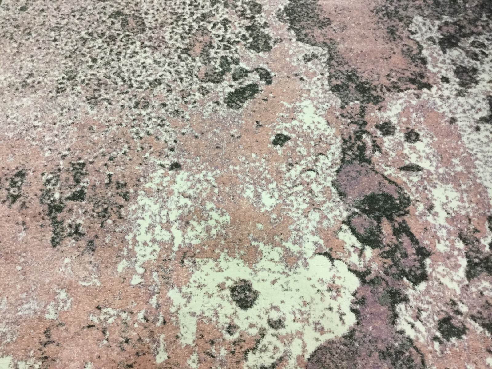 PINK 6′-7″ X 6′-7″ Square Back Stain Rug, Reduced Price 1172640051 GLA124U-7SQ