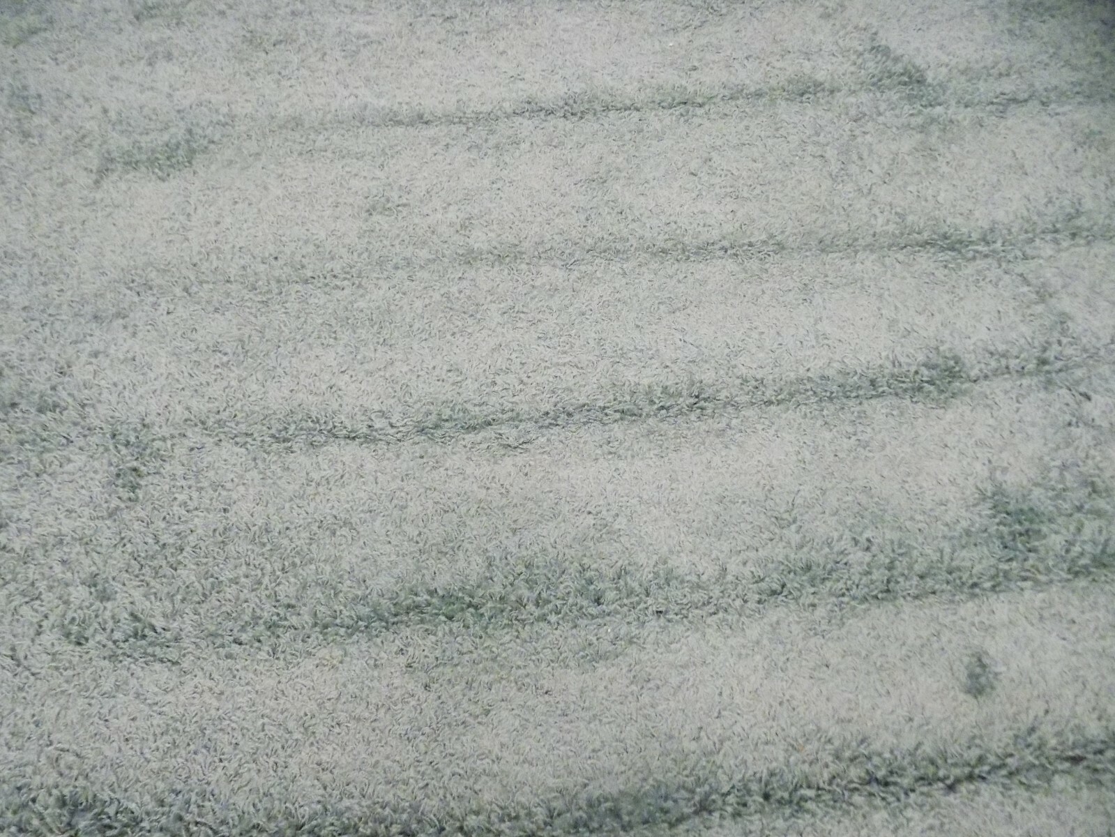 SEAFOAM 8′ X 10′ Flaw in Rug Reduced Price 1172588910 SGAS119D-8