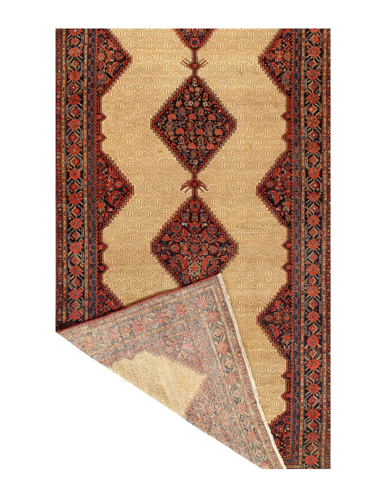 Beige Anrique 6′ 9” X 19′